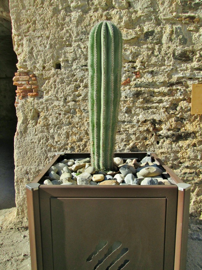 Foto: Castillo - Colliure (Languedoc-Roussillon), Francia