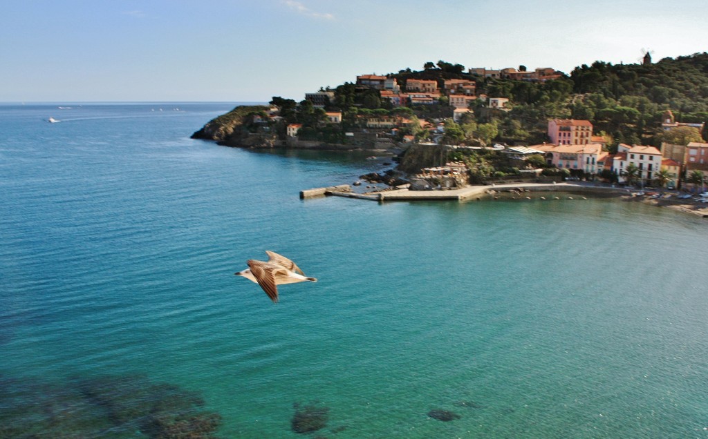 Foto: Vistas desde el castillo - Colliure (Languedoc-Roussillon), Francia