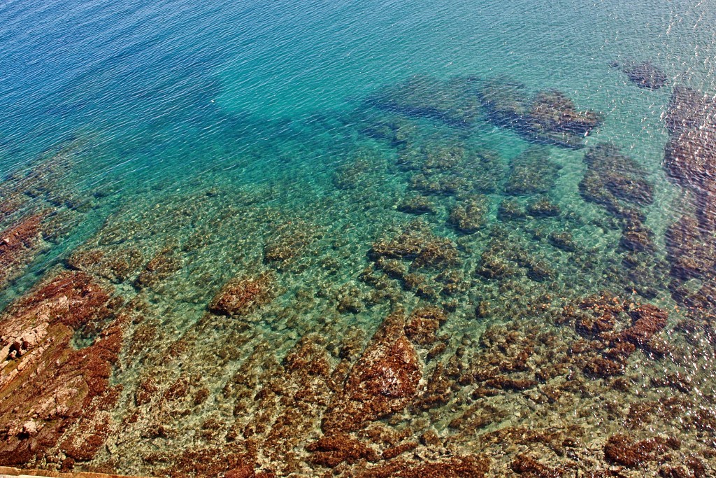 Foto: Vistas desde el castillo - Colliure (Languedoc-Roussillon), Francia