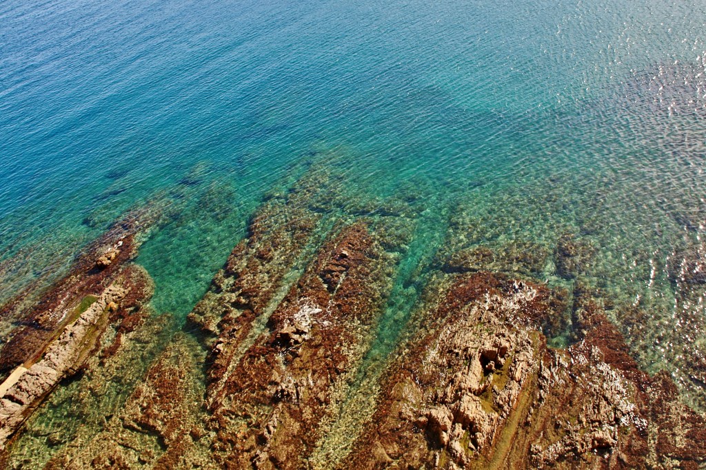 Foto: Vistas desde el castillo - Colliure (Languedoc-Roussillon), Francia