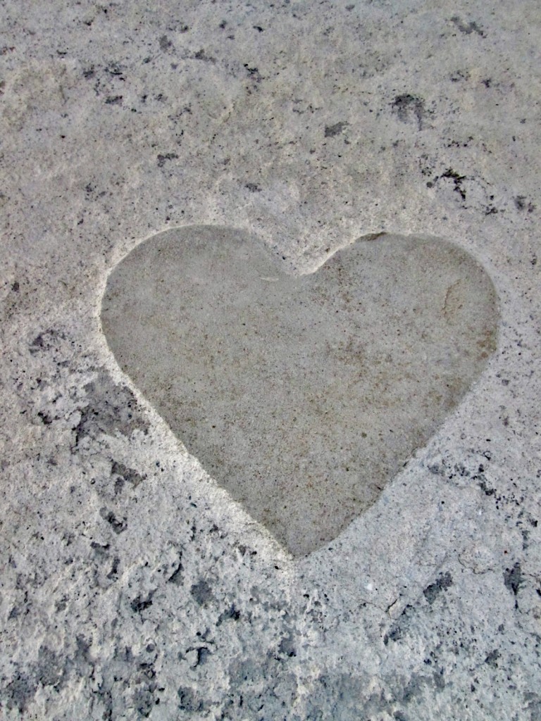 Foto: En una pared - Colliure (Languedoc-Roussillon), Francia