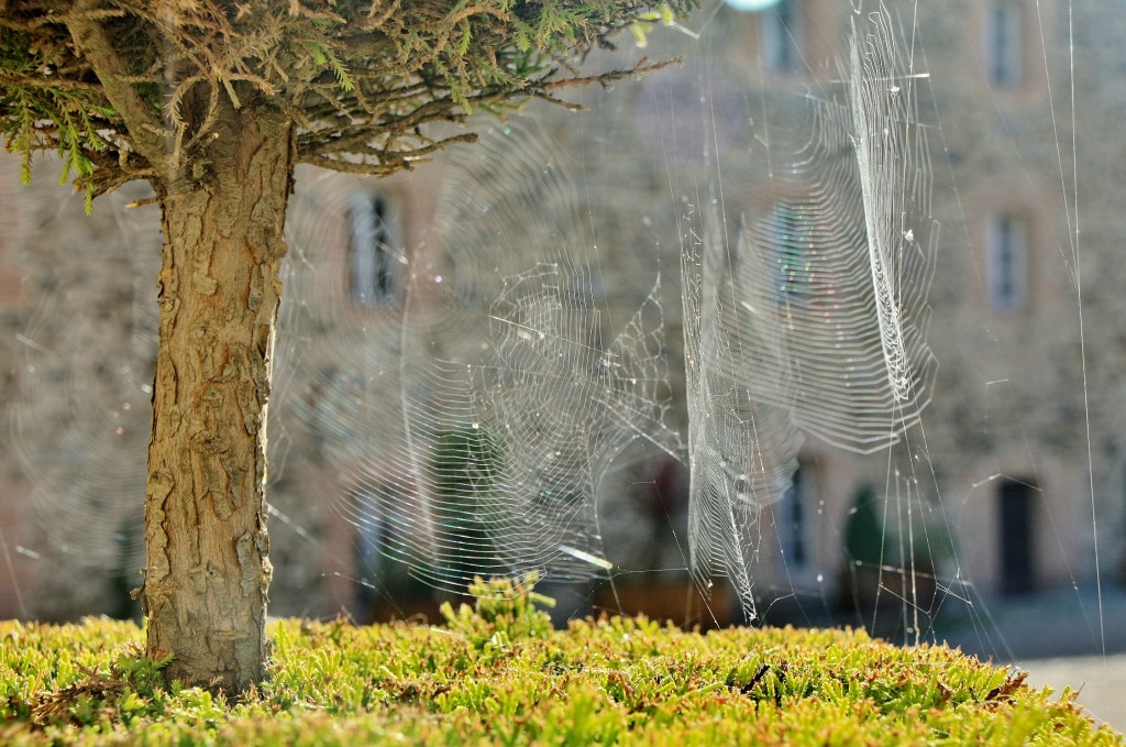 Foto: Castillo - Colliure (Languedoc-Roussillon), Francia