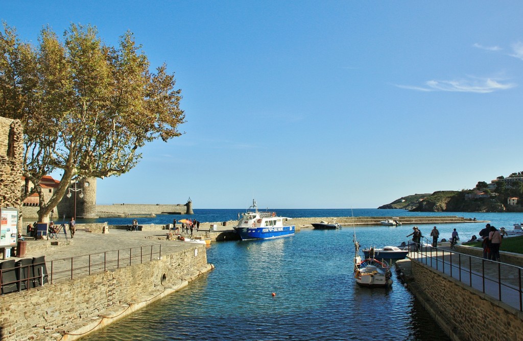 Foto: Centro histórico - Colliure (Languedoc-Roussillon), Francia