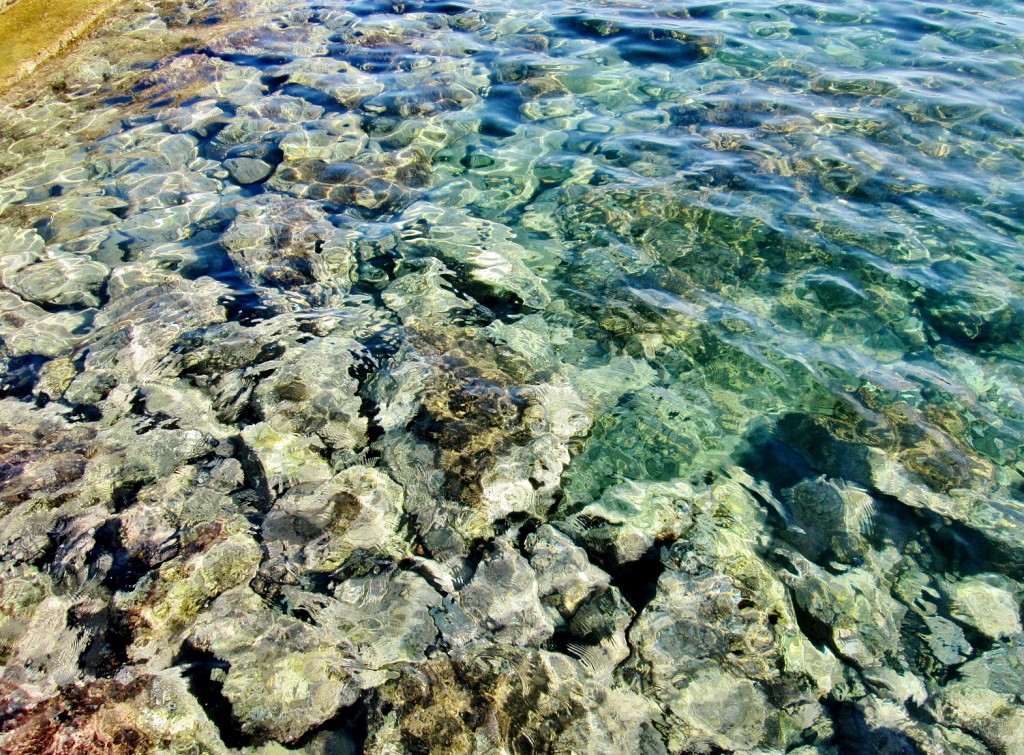 Foto: Vistas desde el castillo - Colliure (Languedoc-Roussillon), Francia