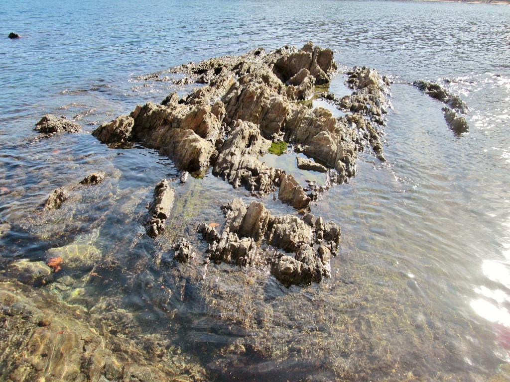 Foto: Vistas - Colliure (Languedoc-Roussillon), Francia