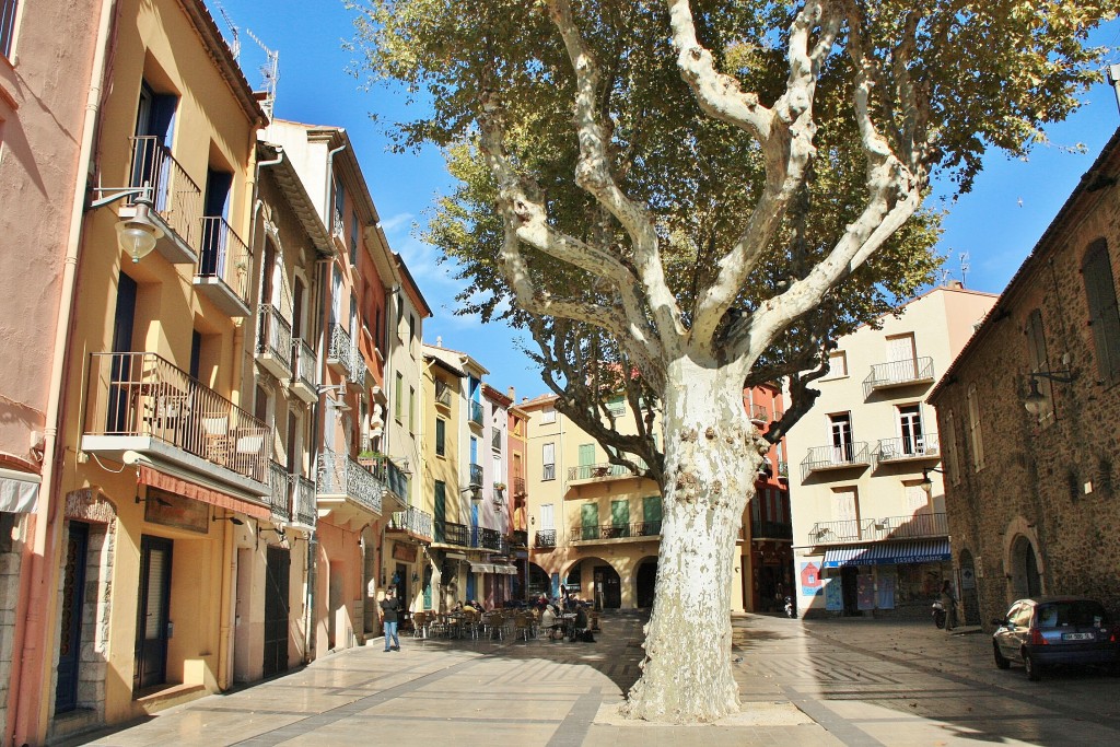 Foto: Centro histórico - Colliure (Languedoc-Roussillon), Francia