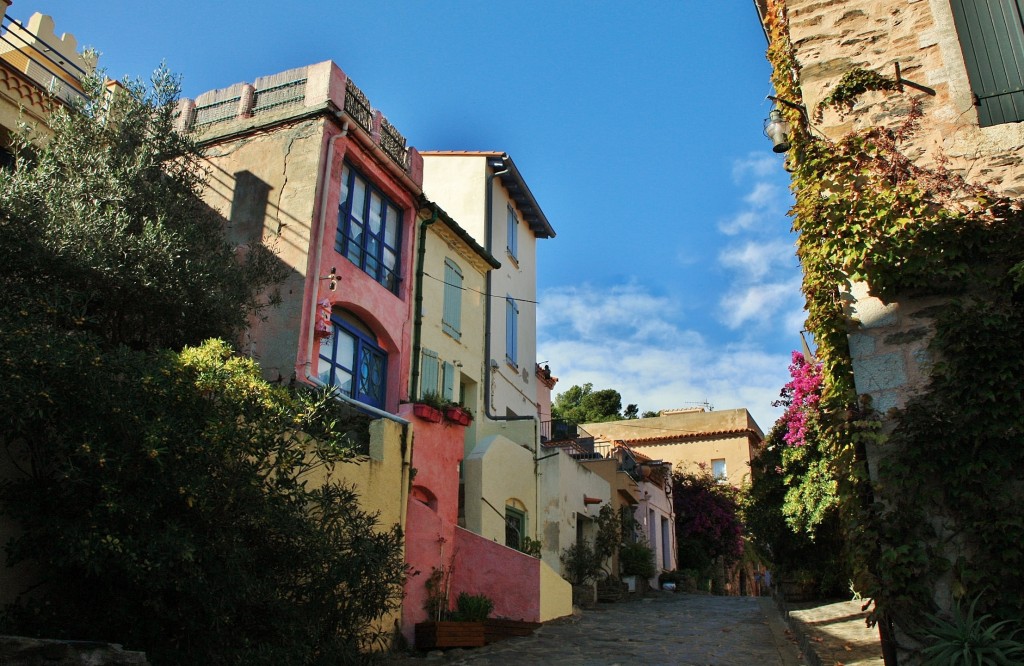 Foto: Centro histórico - Colliure (Languedoc-Roussillon), Francia