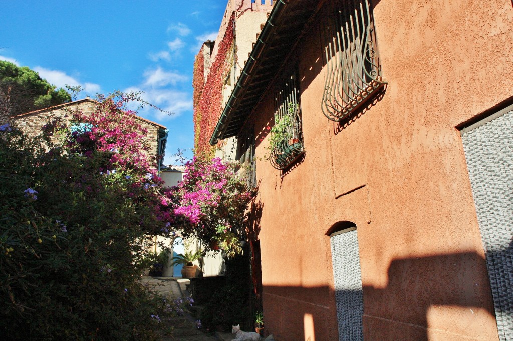 Foto: Centro histórico - Colliure (Languedoc-Roussillon), Francia