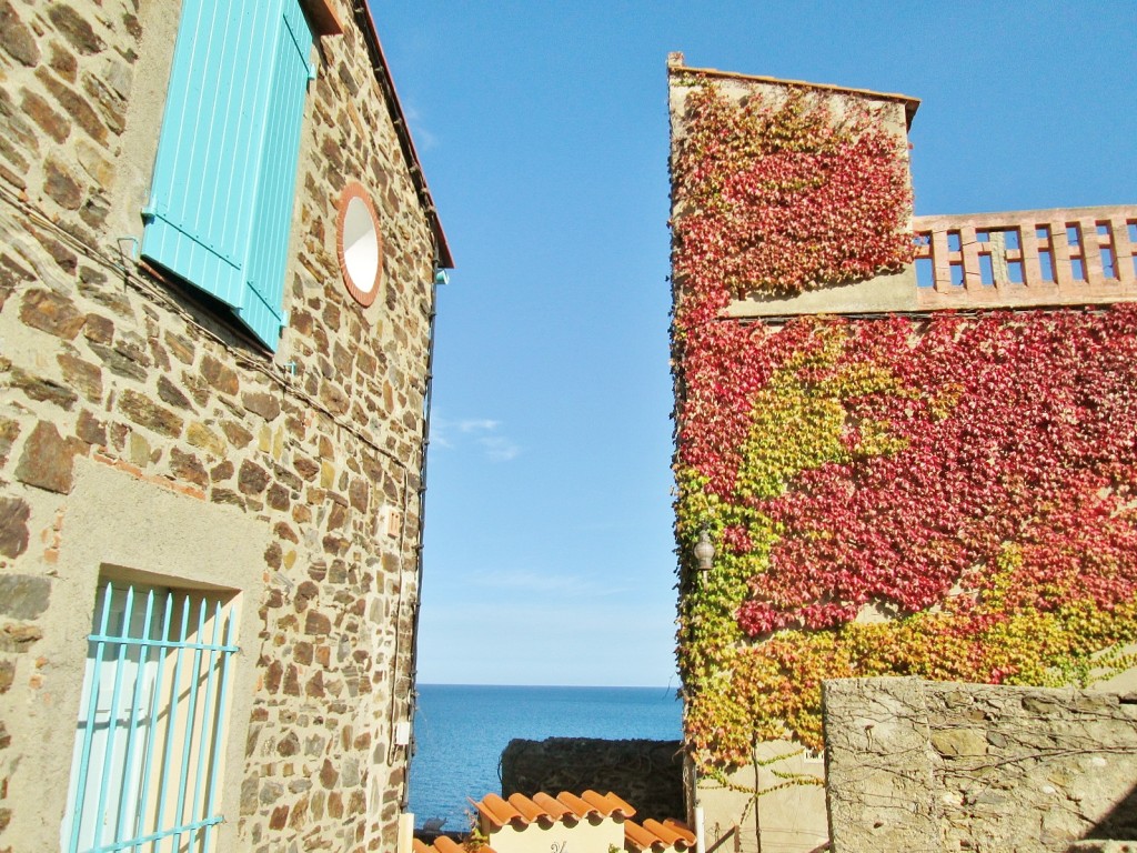 Foto: Centro histórico - Colliure (Languedoc-Roussillon), Francia