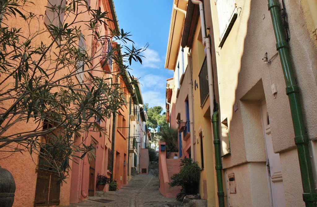 Foto: Centro histórico - Colliure (Languedoc-Roussillon), Francia