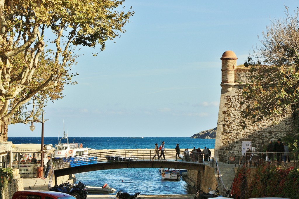 Foto: Centro histórico - Colliure (Languedoc-Roussillon), Francia