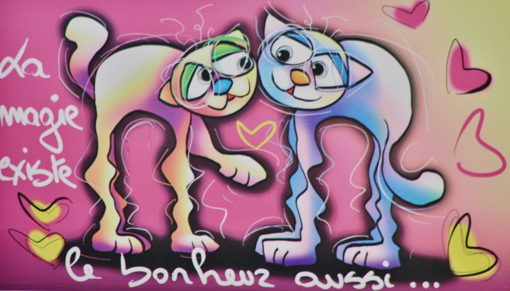 Foto: Gatitos - Colliure (Languedoc-Roussillon), Francia