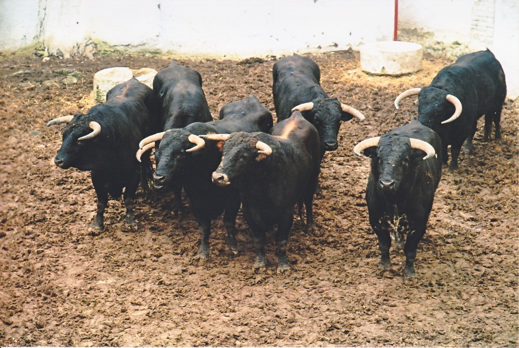 Foto de Linares (Jaén), España