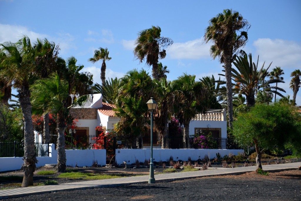 Foto: Caleta de Fuste - Fuerteventura (Las Palmas), España