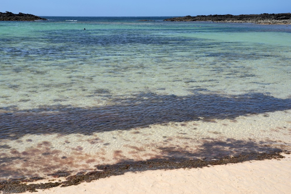Foto: Playa Los Lagos - Fuerteventura (Las Palmas), España