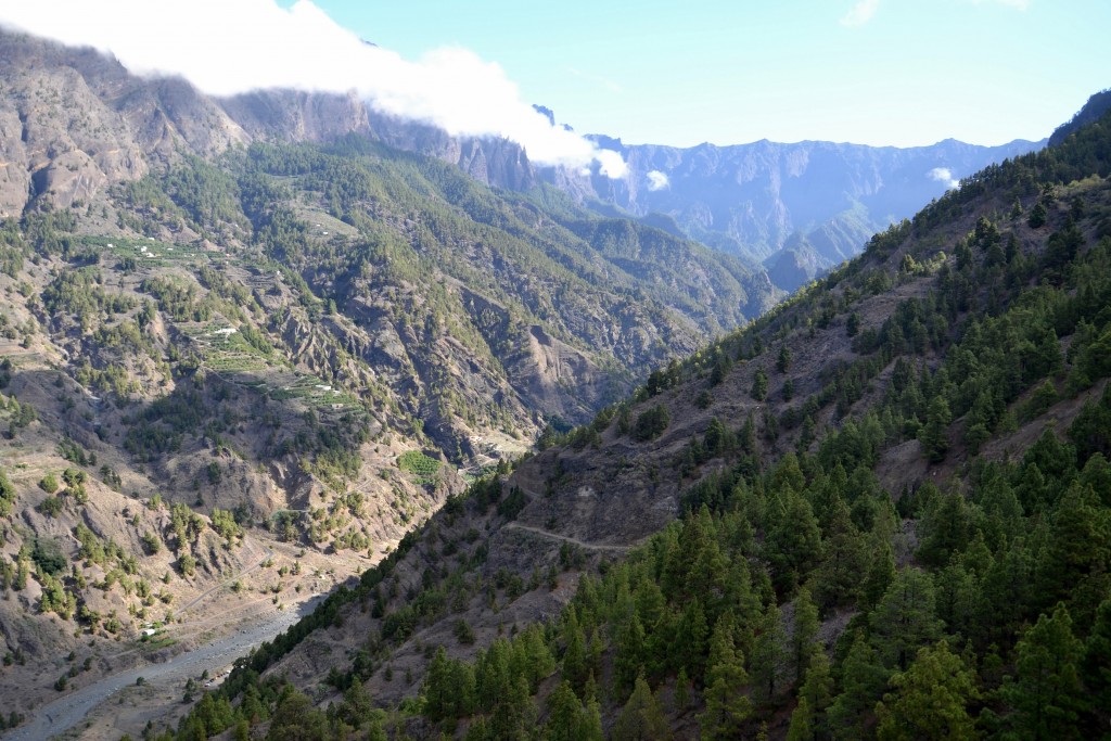 Foto: Mirador de Cancelita - La Palma (Santa Cruz de Tenerife), España