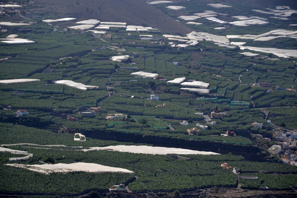 Foto: Plataneras - La Palma (Santa Cruz de Tenerife), España