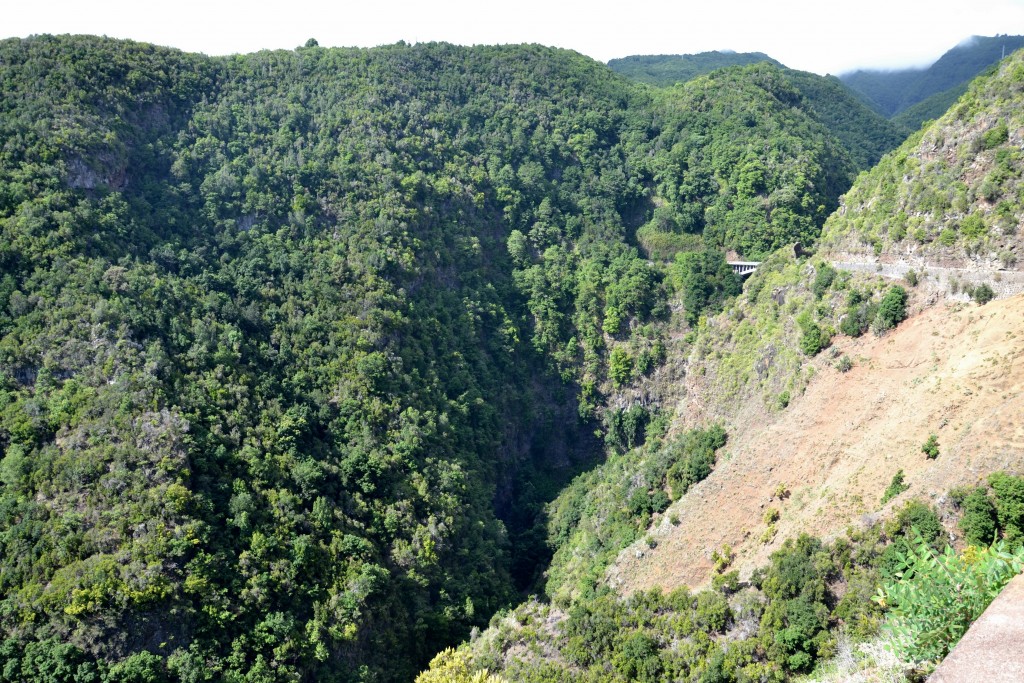 Foto: Barranco del Agua - La Palma (Santa Cruz de Tenerife), España