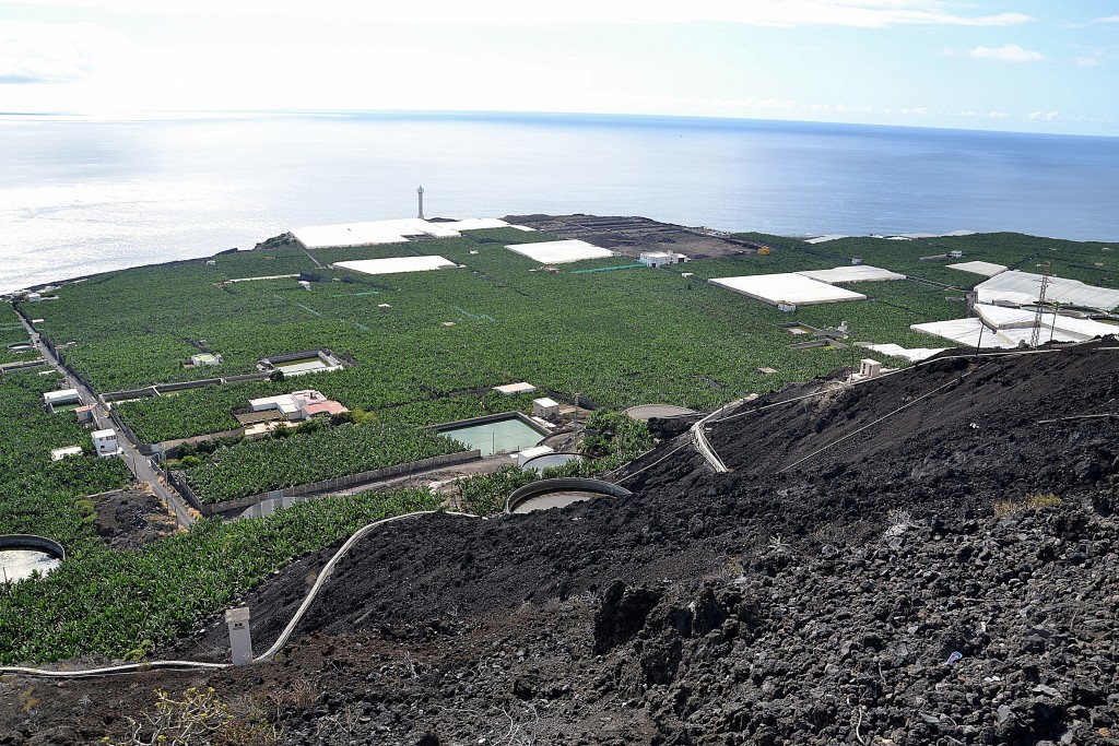 Foto: Camino las Hoyas, La Bombilla - La Palma (Santa Cruz de Tenerife), España