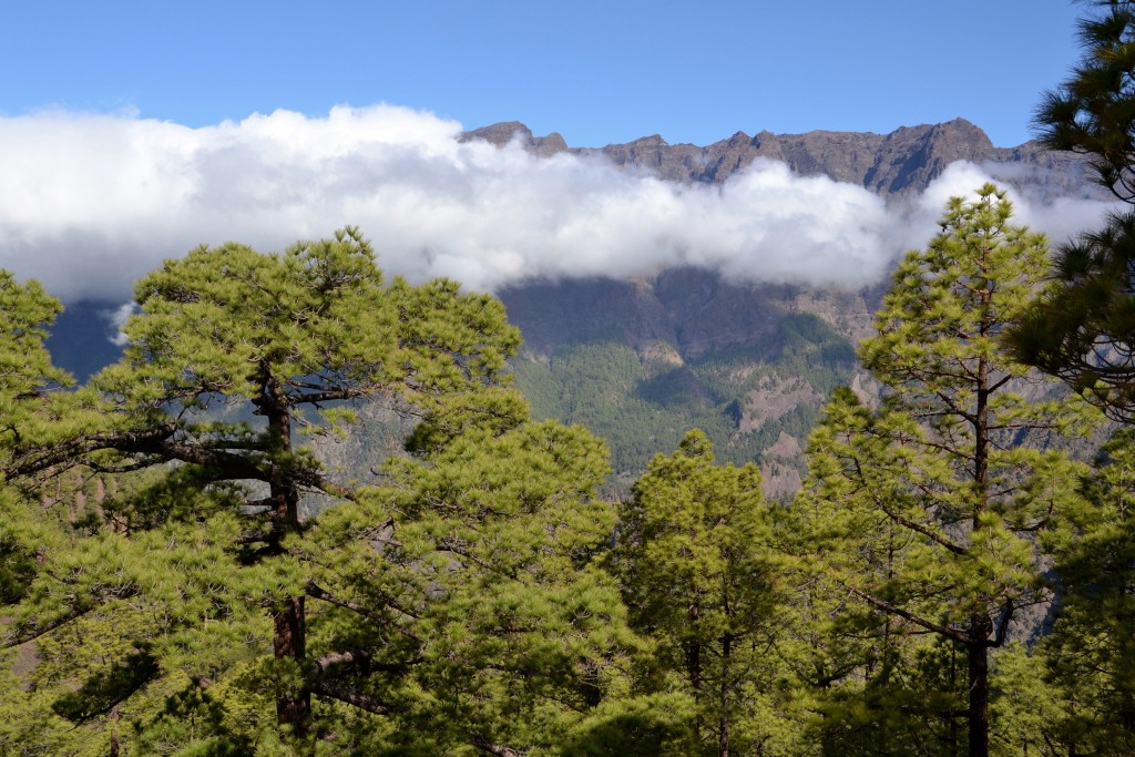 Foto: La Cumbrecita - La Palma (Santa Cruz de Tenerife), España
