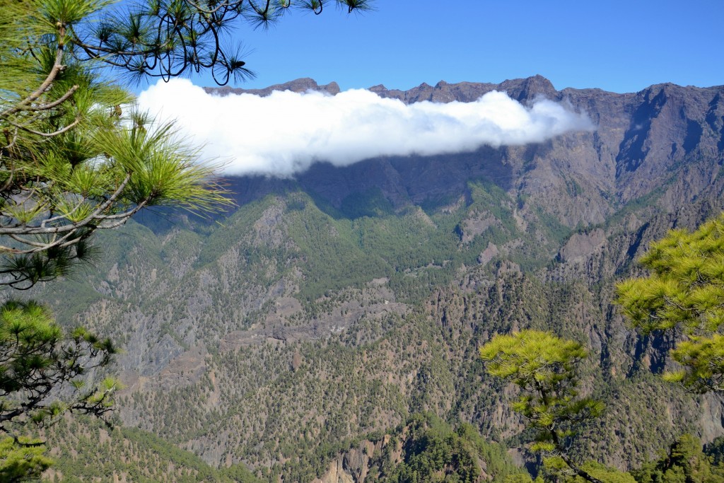 Foto: La Cumbrecita - La Palma (Santa Cruz de Tenerife), España