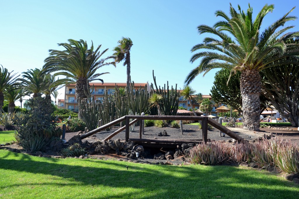 Foto: Caleta de Fuste - Fuerteventura (Las Palmas), España