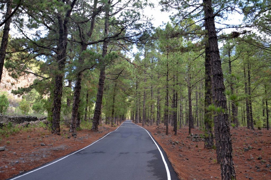 Foto: Carretera Caldera Taburiente - La Palma (Santa Cruz de Tenerife), España