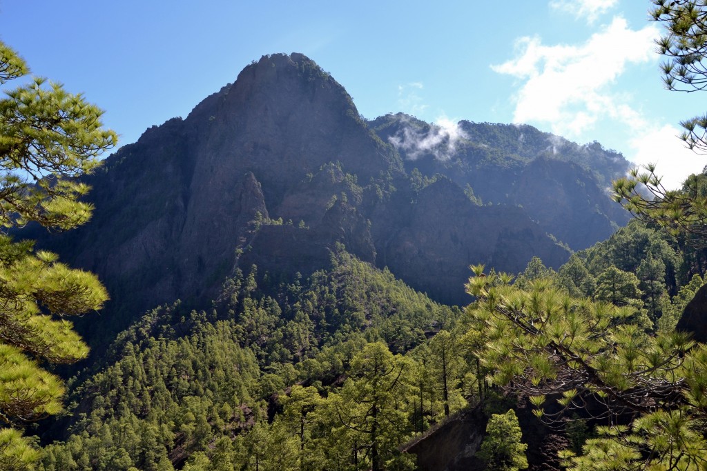 Foto: La Cumbrecita - La Palma (Santa Cruz de Tenerife), España