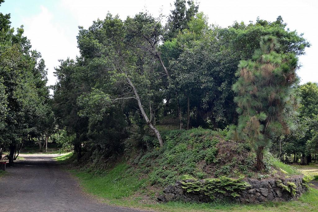 Foto: Parque de La Laguna - La Palma (Santa Cruz de Tenerife), España