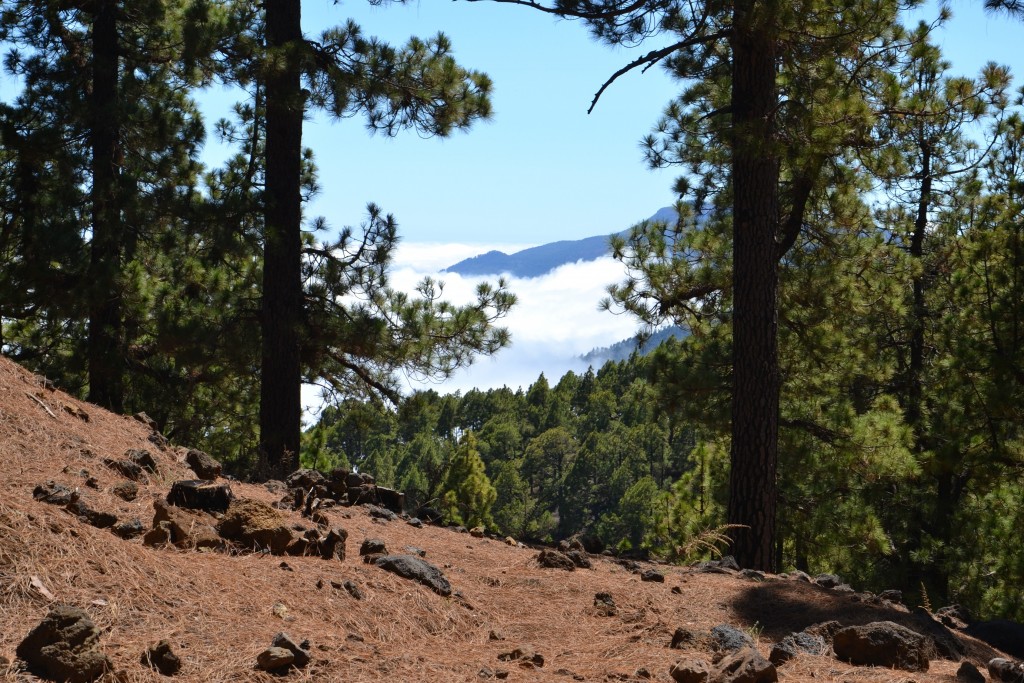 Foto: Roque de los Muchachos - La Palma (Santa Cruz de Tenerife), España