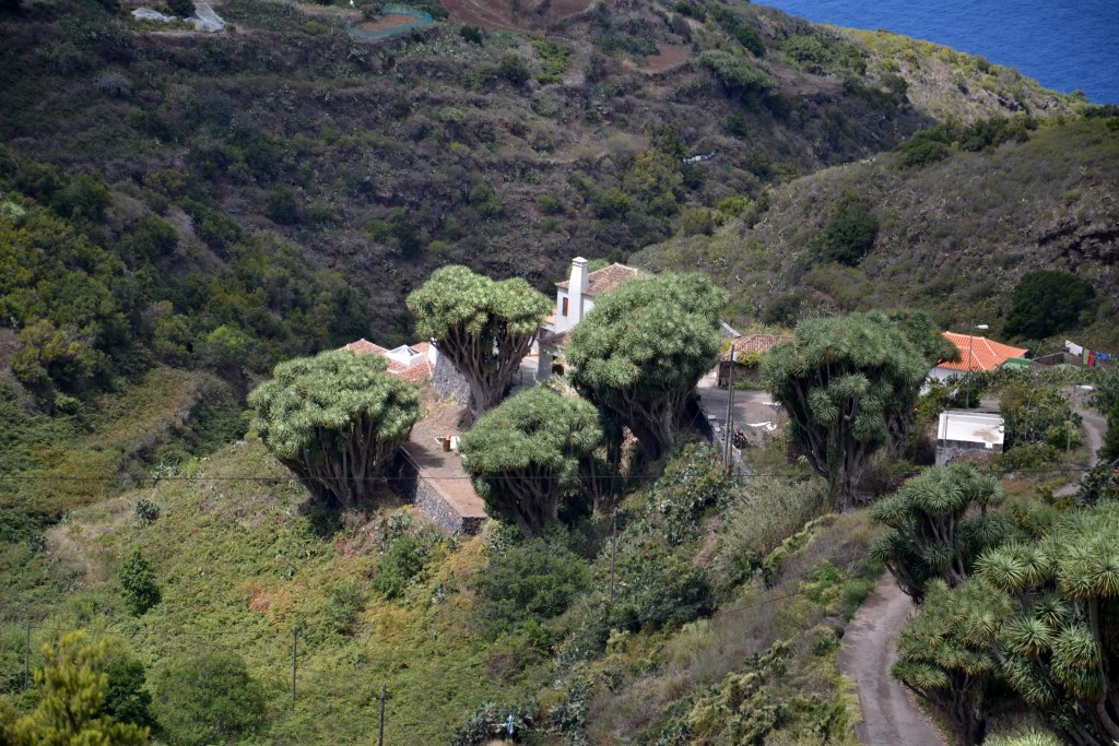 Foto: Piscinas La Fajana - La Palma (Santa Cruz de Tenerife), España