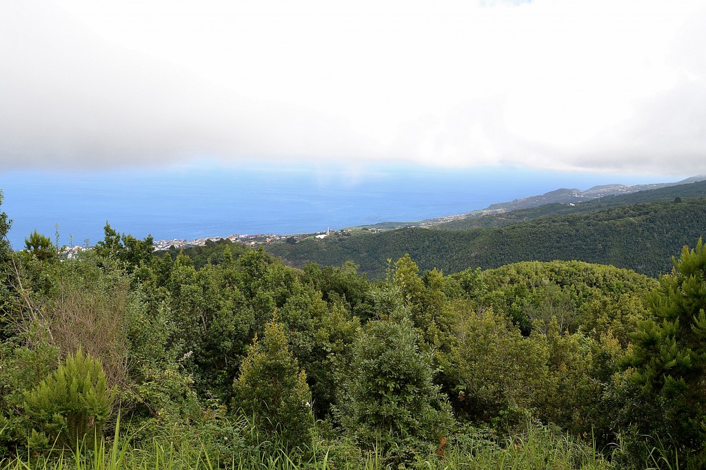 Foto: Parque de La Laguna - La Palma (Santa Cruz de Tenerife), España