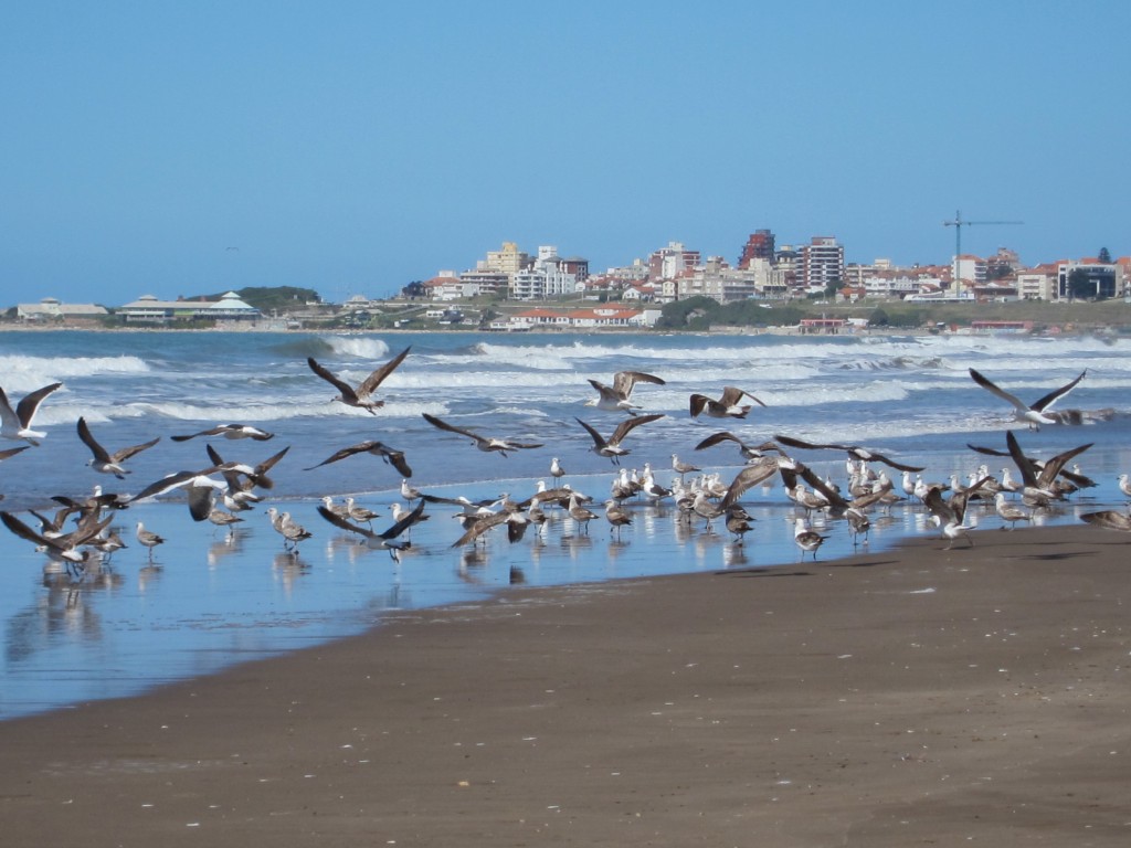 Foto: Playas de Punta Mogotes - Mar del Plata (Buenos Aires), Argentina