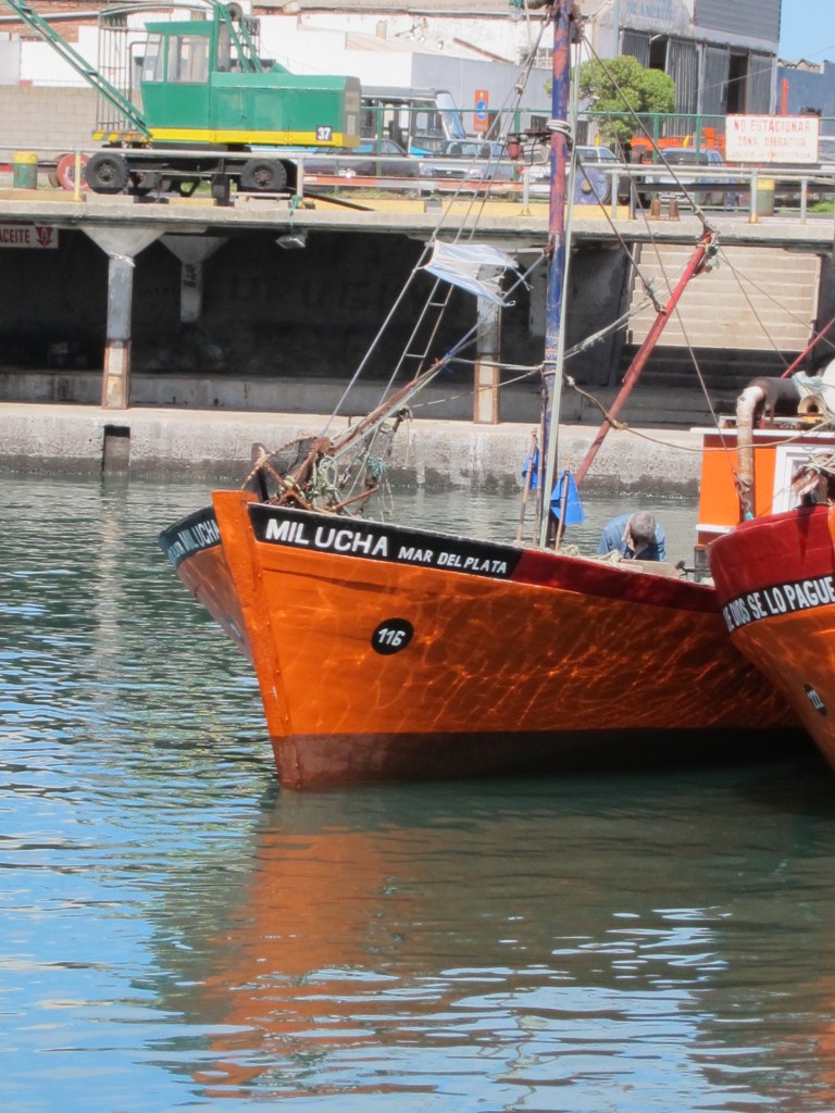 Foto: Puerto de pescadores - Mar del Plata (Buenos Aires), Argentina
