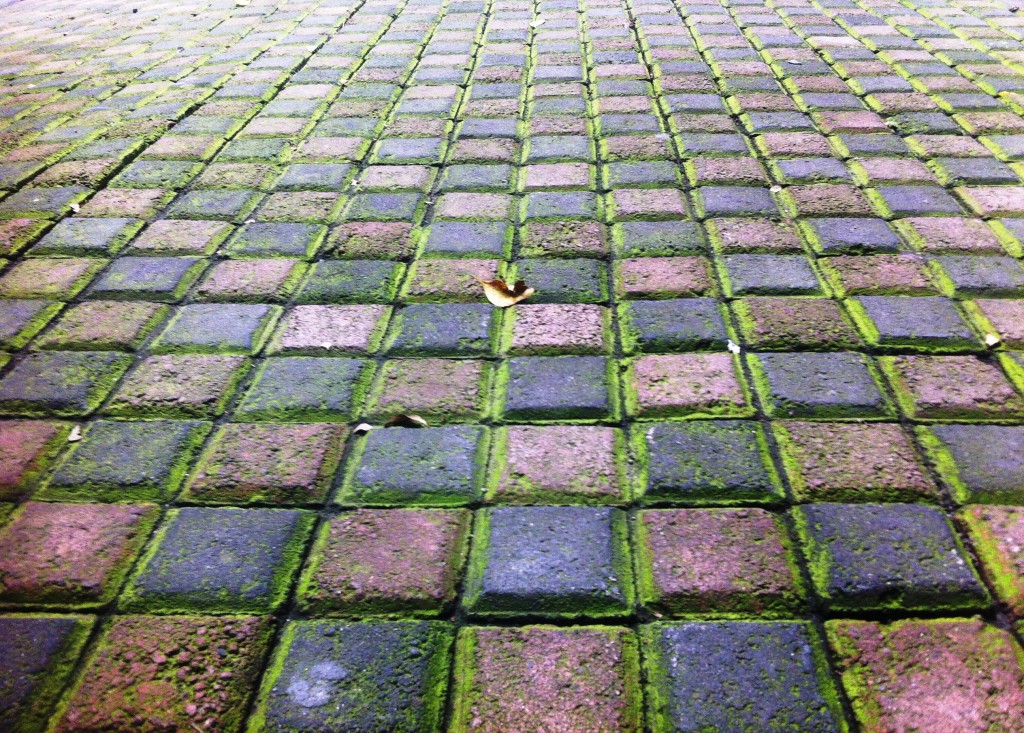 Foto de México DF (The Federal District), México