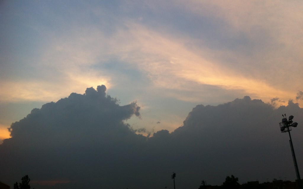 Foto: Silla de montar - México DF (The Federal District), México