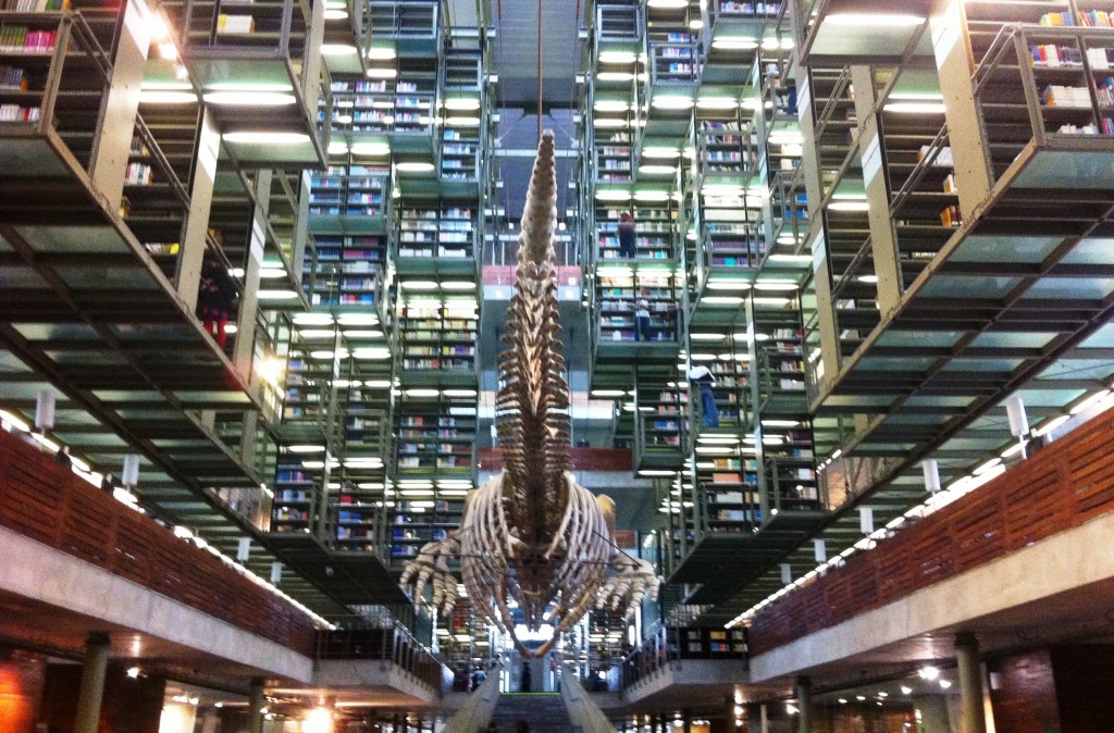 Foto de México DF (The Federal District), México