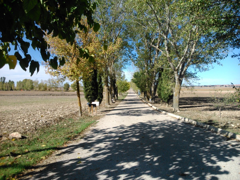 Foto: Camino de la Ermita - Tebar (Cuenca), España