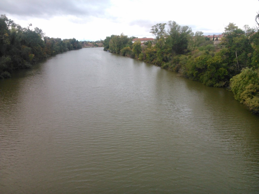Foto: Rio Pisuerga - Valladolid (Castilla y León), España
