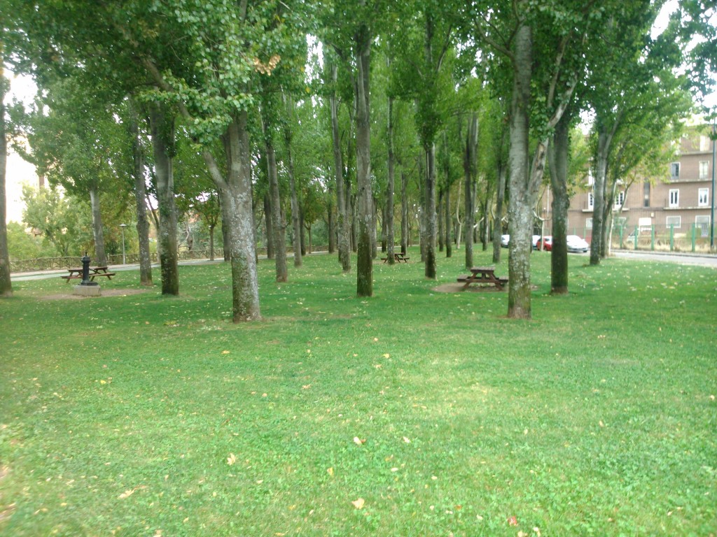Foto: Jardin - Valladolid (Castilla y León), España