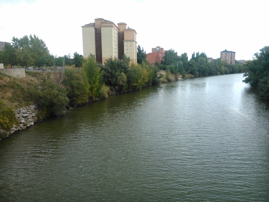 Foto: Rio Pisuerga - Valladolid (Castilla y León), España