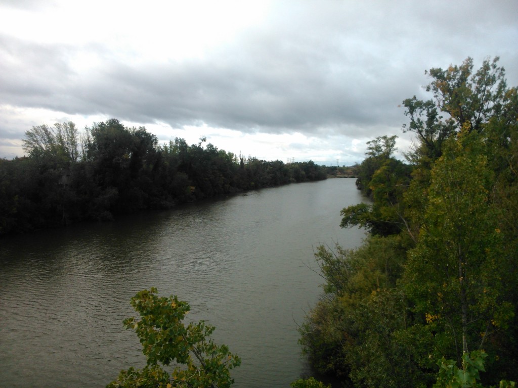 Foto: Rio Pisuerga - Valladolid (Castilla y León), España