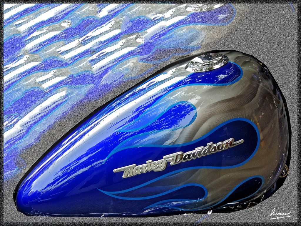 Foto: 151004-01 ZARAGOZA - Zaragoza (Aragón), España