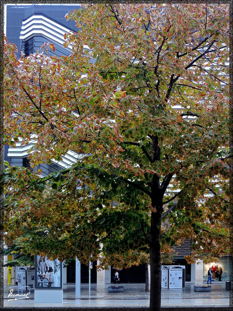 Foto: 151004-11 ZARAGOZA - Zaragoza (Aragón), España