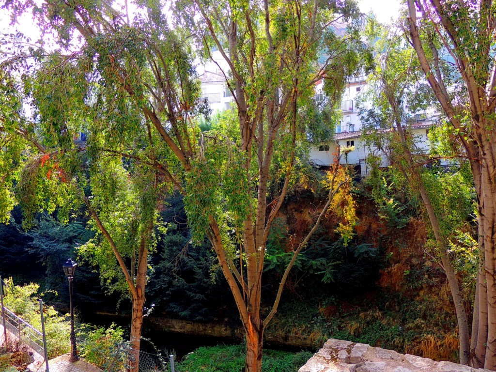 Foto de Cazorla (Jaén), España