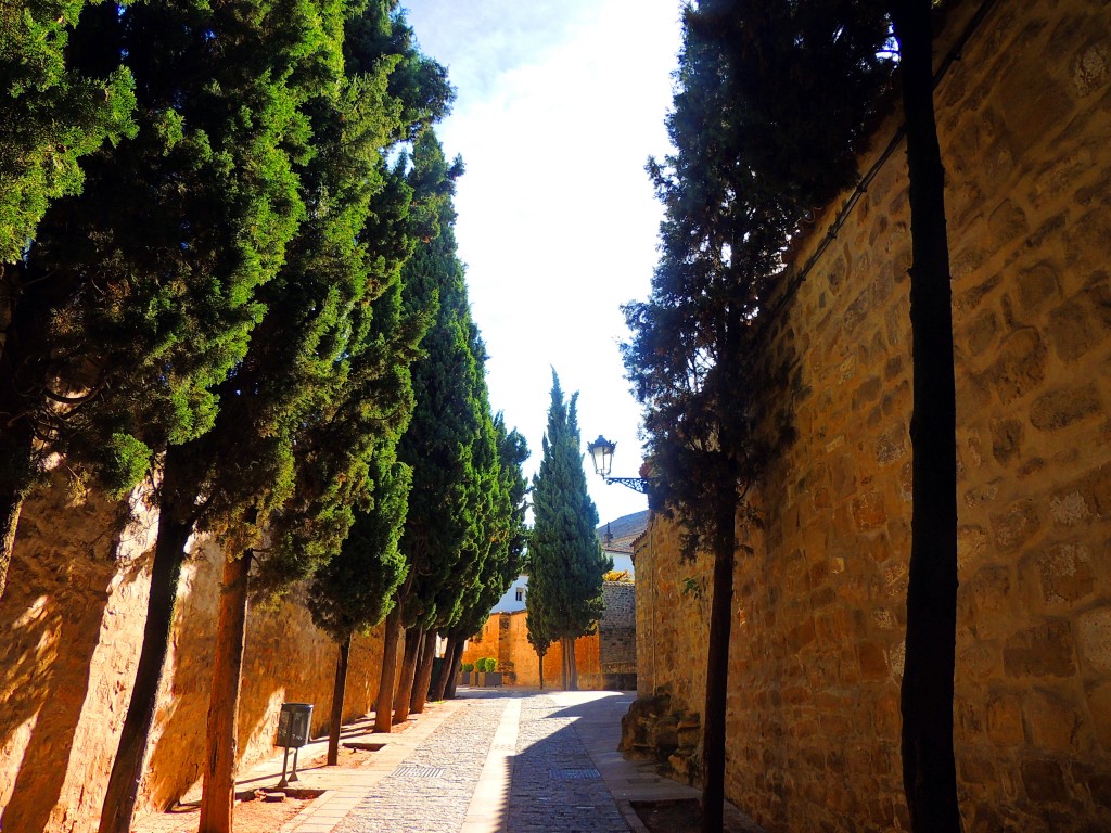Foto de Baeza (Jaén), España