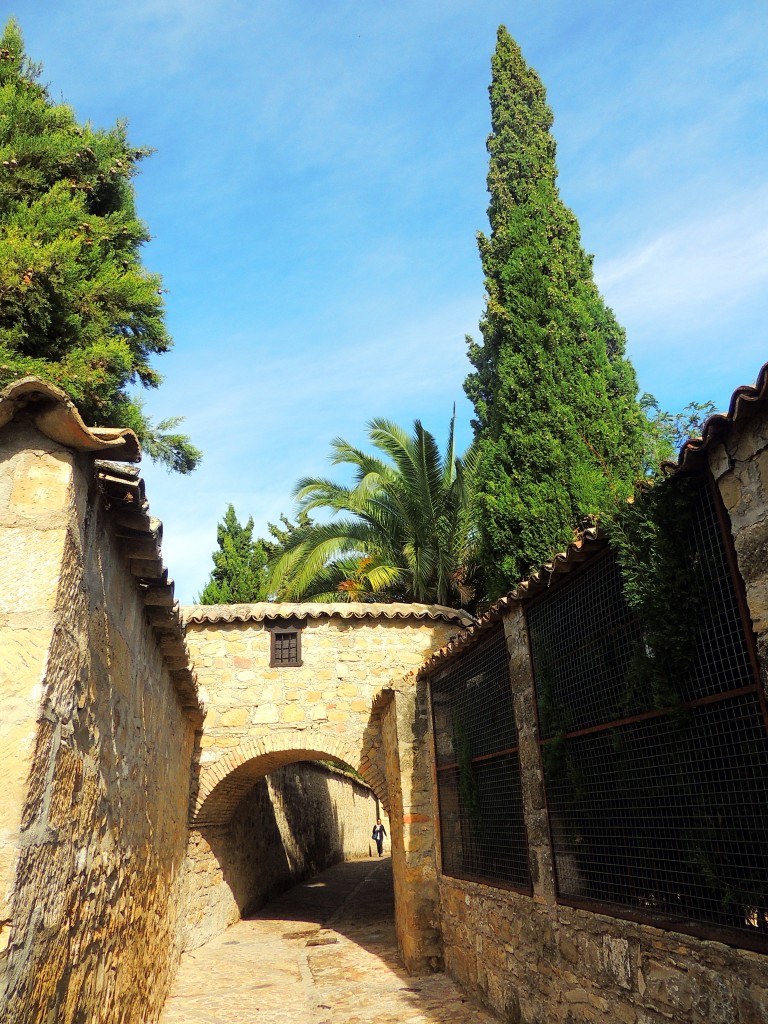 Foto de Baeza (Jaén), España