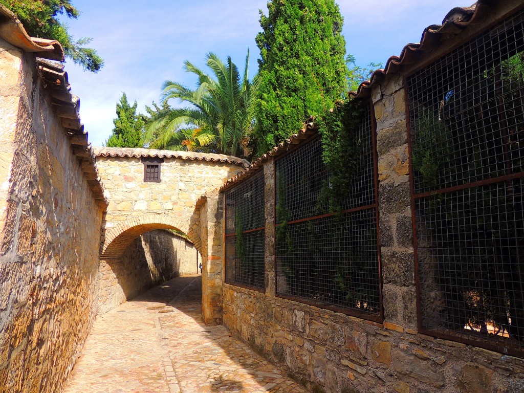 Foto de Baeza (Jaén), España