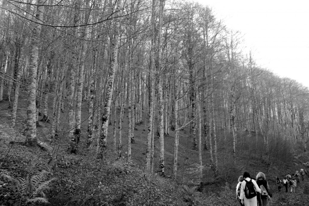 Foto de Ochagavía (Navarra), España