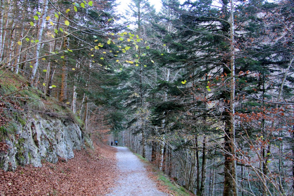 Foto de Ochagavía (Navarra), España